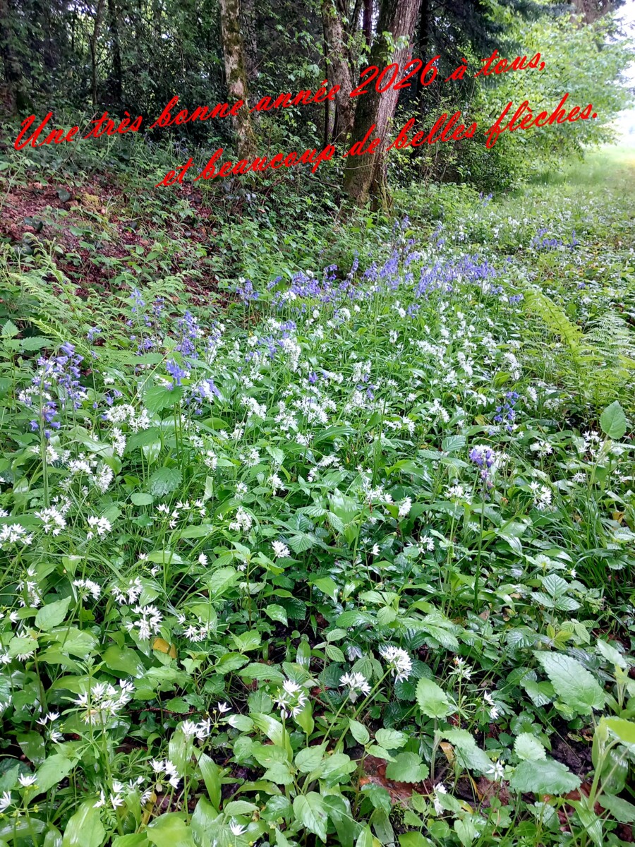 Une bonne année 2026 à tous.