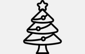 Tir de Noël - Ouvert à tous les archers du Club