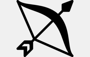 Tir du Roi - Ouvert à tous les archers du Club 