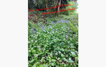 Une bonne année 2026 à tous.